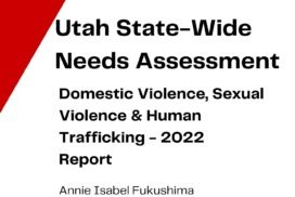Utah State-Wide Needs Assessment. https://uwhr.utah.edu/utah-state-wide-needs-assessment-domestic-violence-sexual-violence-and-human-trafficking-2022-report/